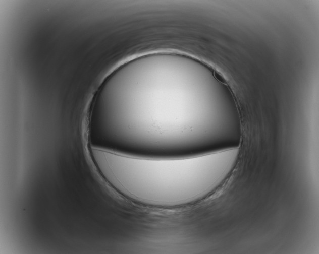 X0000089391526200706150921