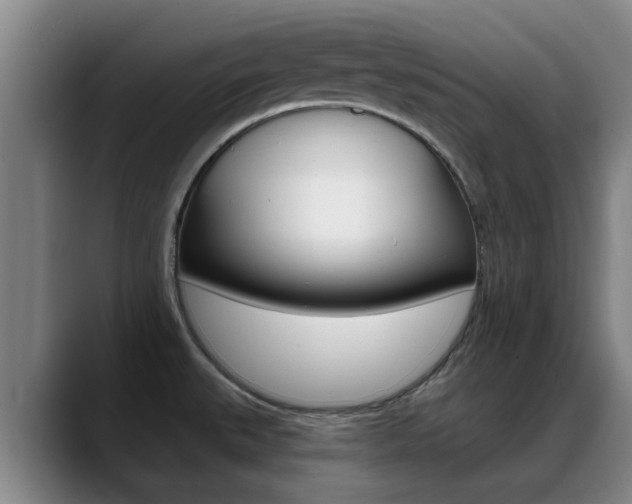 X0000089391527200706150921