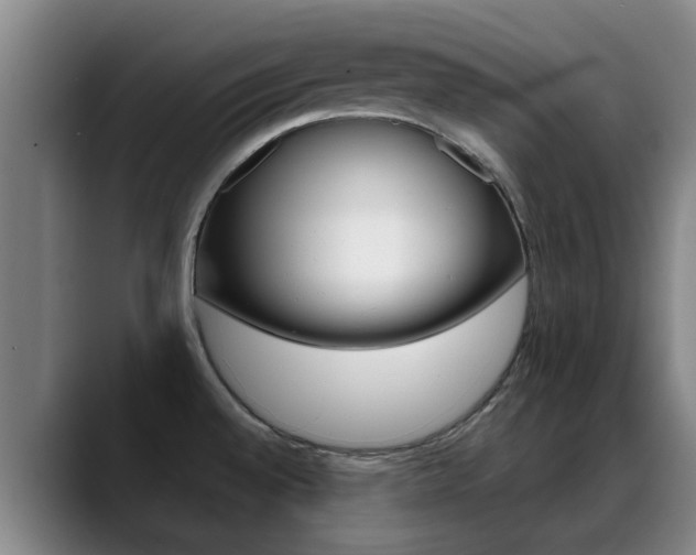 X0000089391528200706150921