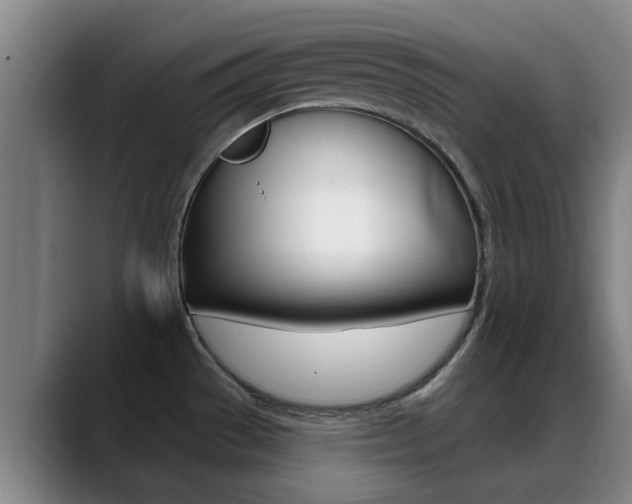 X0000089391529200706150921