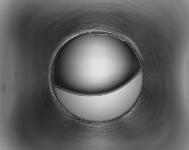 X0000089391530200706150921