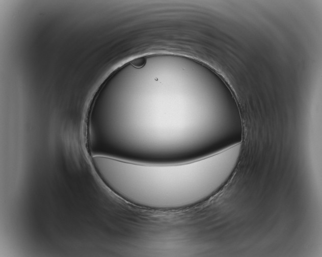 X0000089391531200706150921