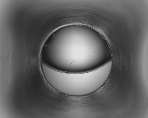 X0000089391532200706150921