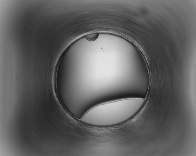 X0000089391533200706150921