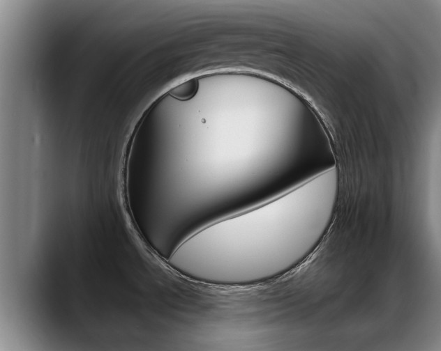 X0000089391534200706150921