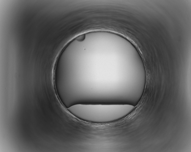 X0000089391535200706150921
