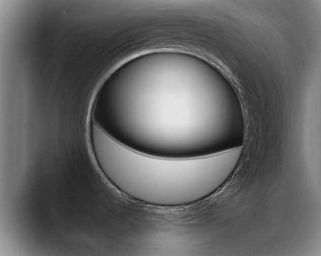 X0000089391536200706150921
