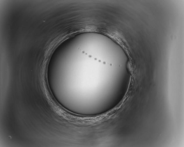 X0000089390001200706151230