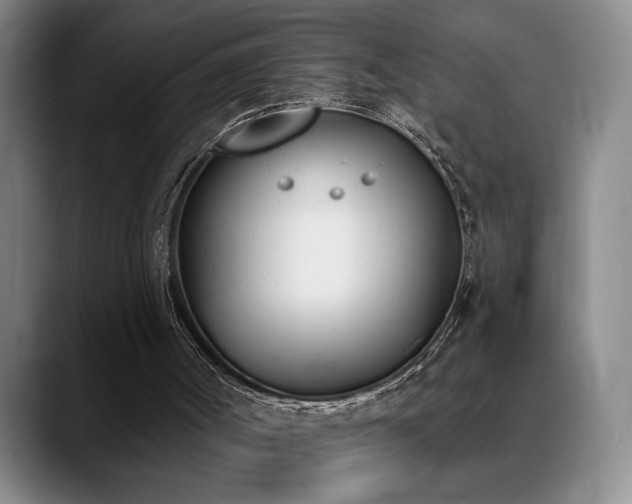 X0000089390002200706151230