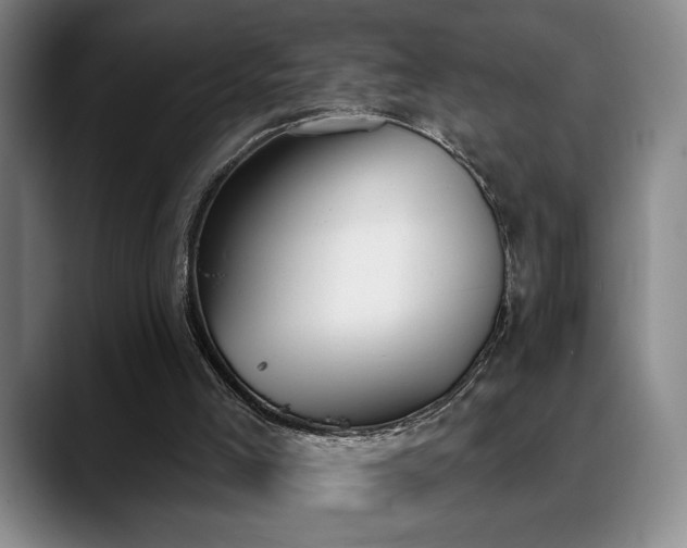 X0000089390005200706151230