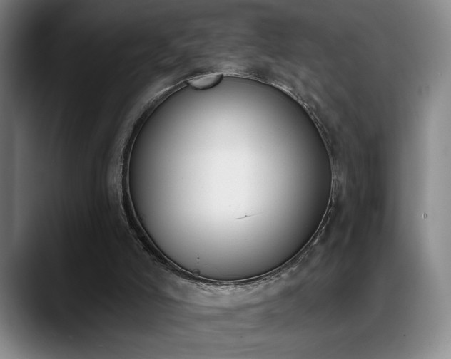 X0000089390006200706151230
