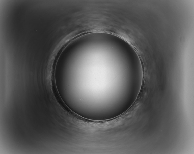 X0000089390007200706151230