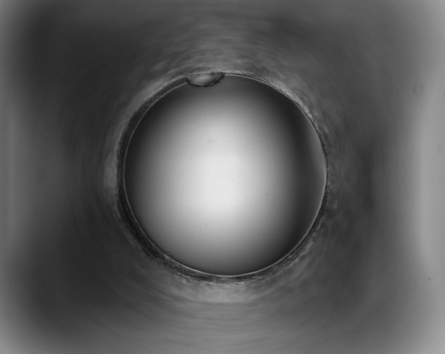 X0000089390008200706151230