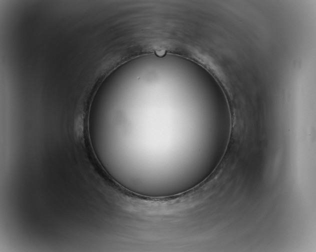 X0000089390010200706151230