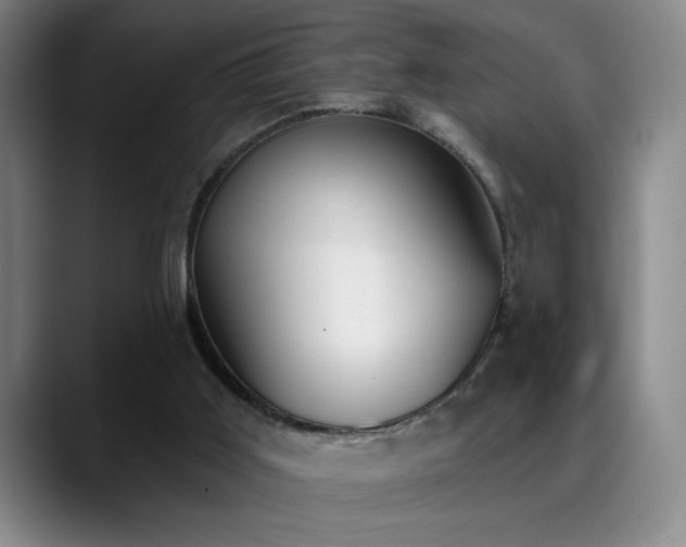 X0000089390011200706151230