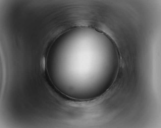 X0000089390013200706151230