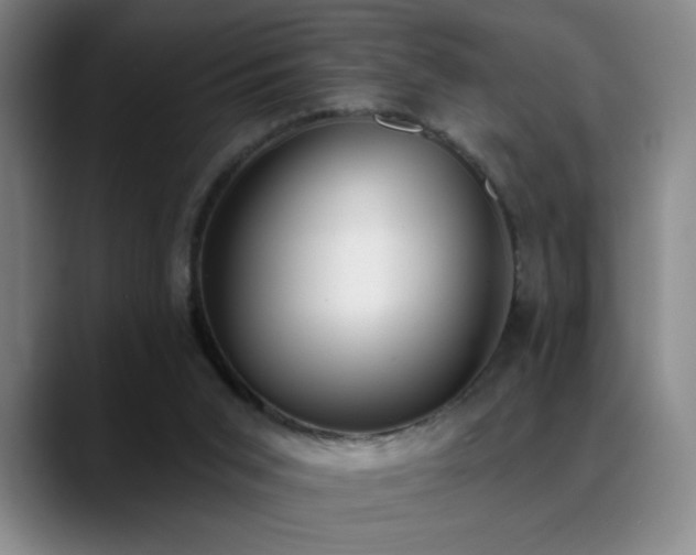 X0000089390015200706151230