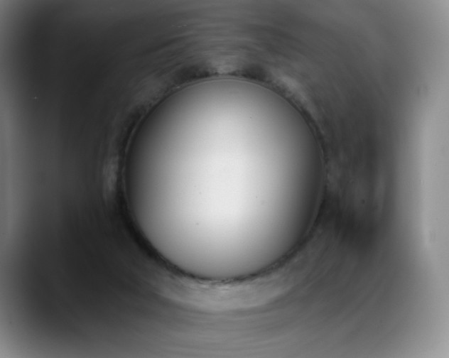 X0000089390018200706151230