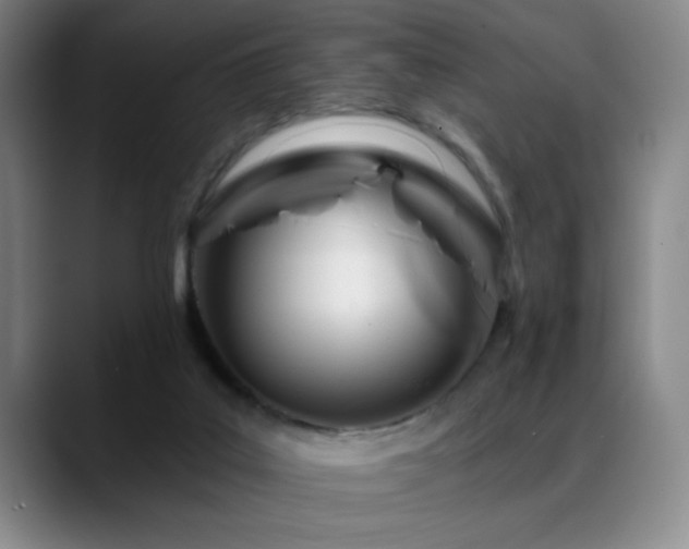 X0000089390019200706151230