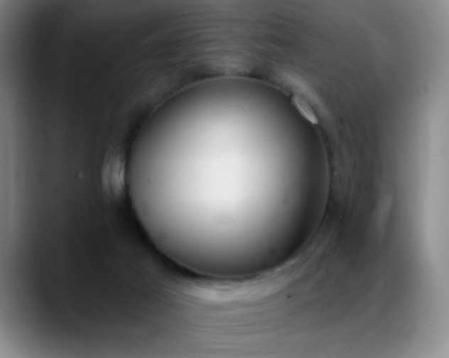 X0000089390021200706151230