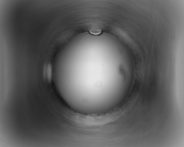 X0000089390022200706151230