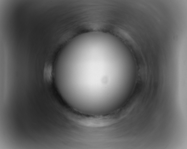 X0000089390024200706151230