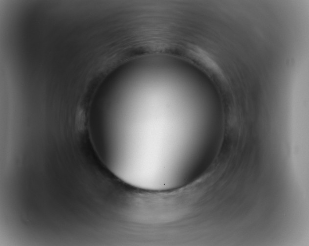 X0000089390025200706151230