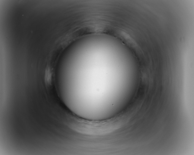 X0000089390026200706151230