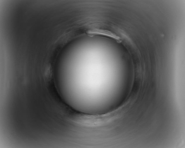 X0000089390029200706151230