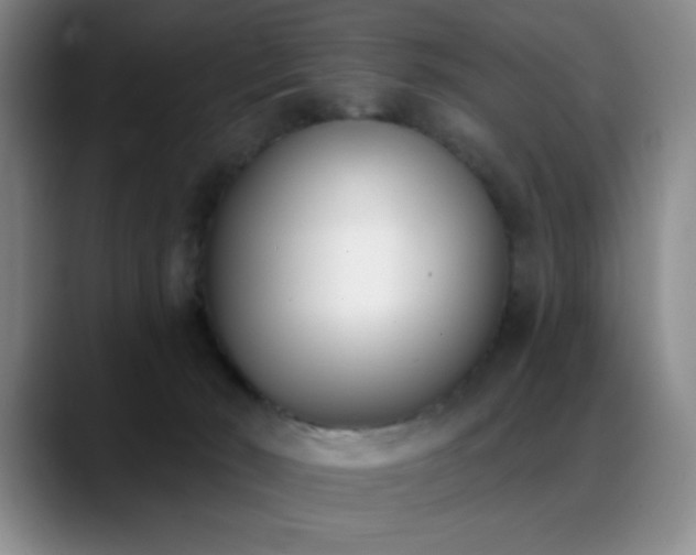 X0000089390030200706151230
