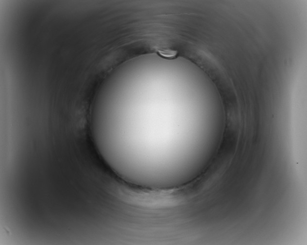 X0000089390032200706151230