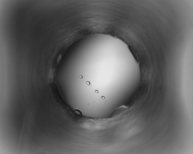 X0000089390033200706151230