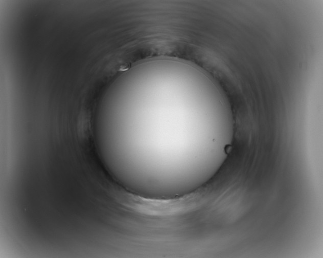 X0000089390034200706151230
