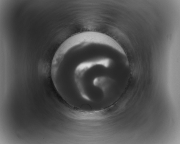 X0000089390036200706151230