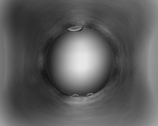 X0000089390037200706151230