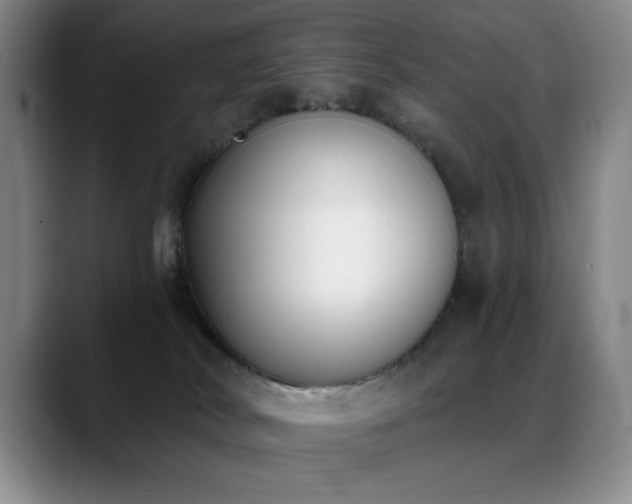 X0000089390038200706151230