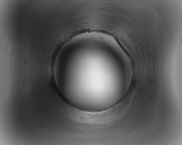 X0000089390039200706151230