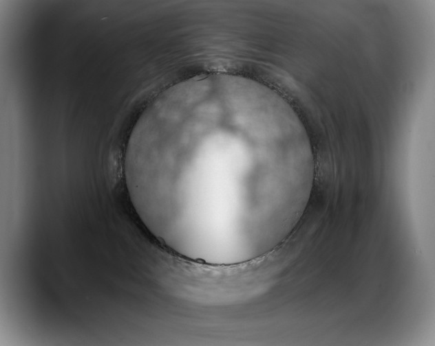 X0000089390043200706151230