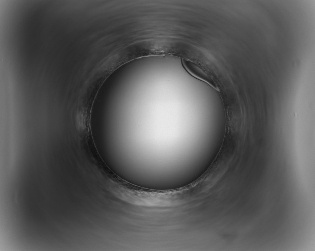 X0000089390044200706151230