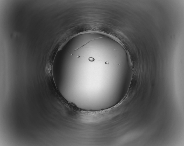 X0000089390045200706151230