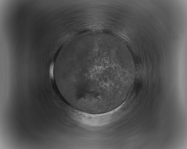 X0000089390047200706151230