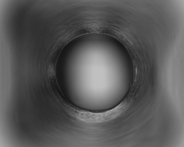 X0000089390048200706151230