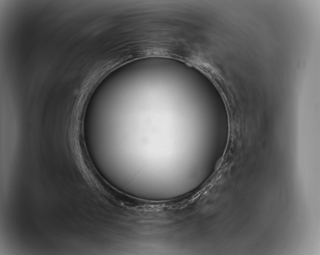 X0000089390049200706151229