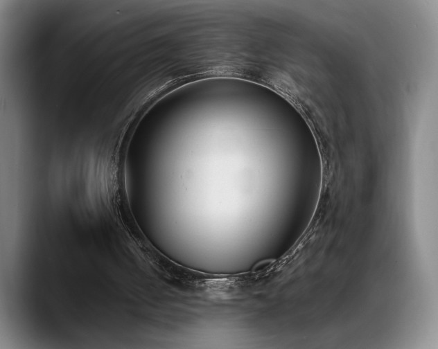 X0000089390050200706151229