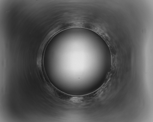 X0000089390051200706151229