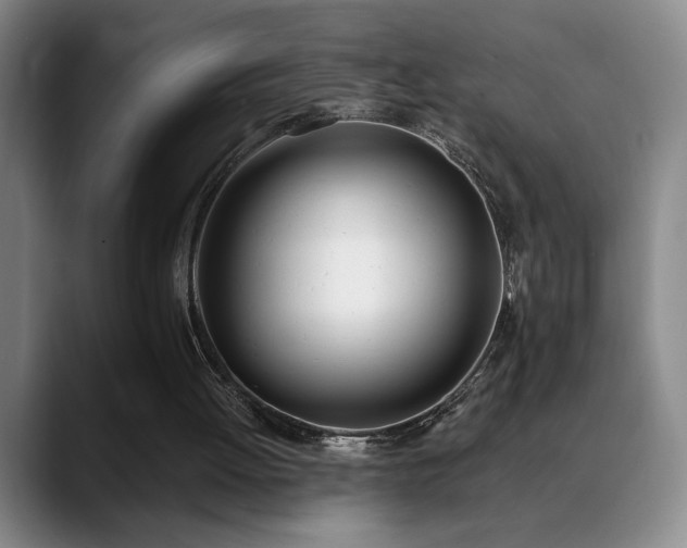 X0000089390052200706151229