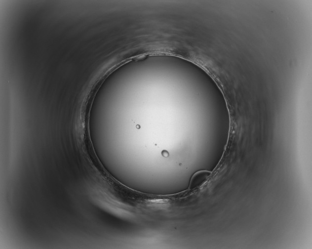 X0000089390053200706151229