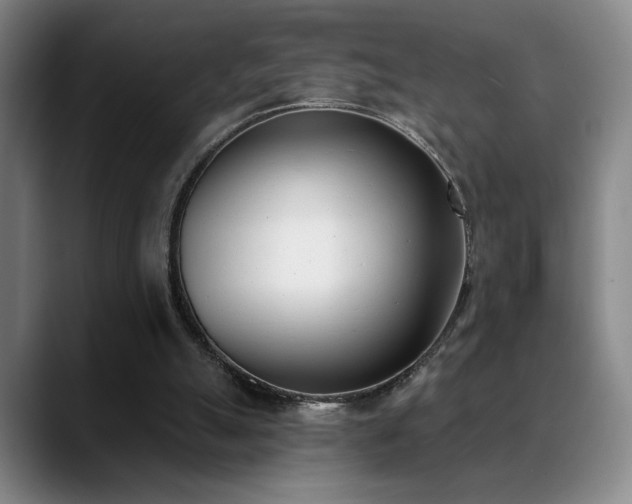 X0000089390055200706151229