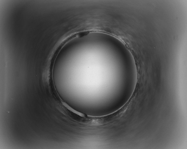 X0000089390056200706151229