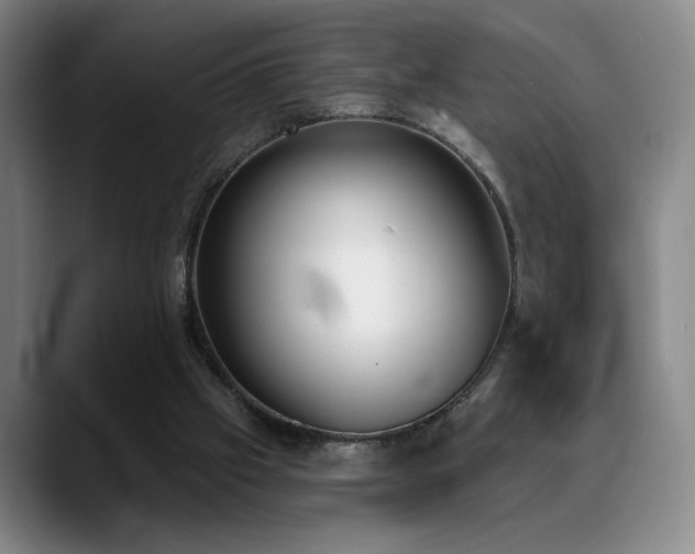 X0000089390057200706151229